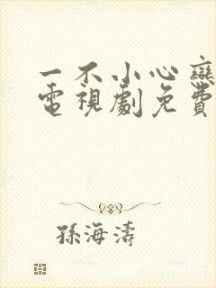 一不小心恋爱了电视剧免费观看完整版封面