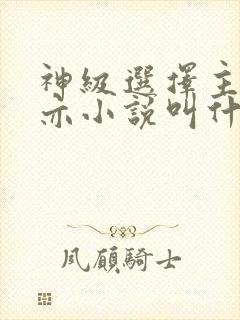 神级选择主角林亦小说叫什么