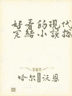 好看的现代言情完结小说总裁封面