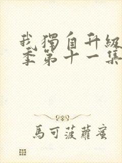 我独自升级第二季第十一集樱花动漫