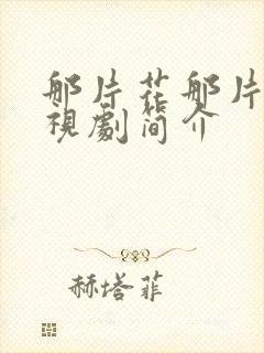 那片花那片海电视剧简介