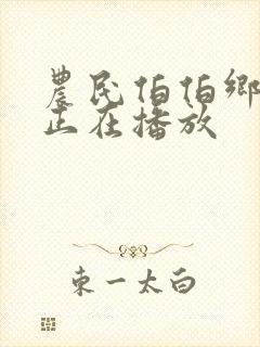 农民伯伯乡下妹正在播放