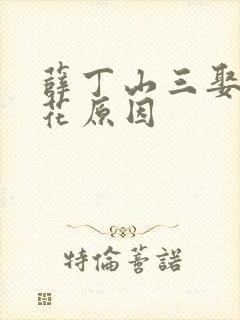 薛丁山三娶樊梨花原因