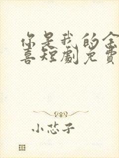 你是我的余生欢喜短剧免费观看全集