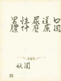 男性尿道口流白脓什么原因