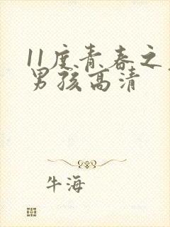 11度青春之老男孩高清