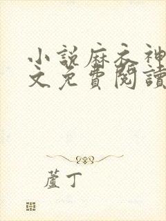 小说麻衣神婿全文免费阅读