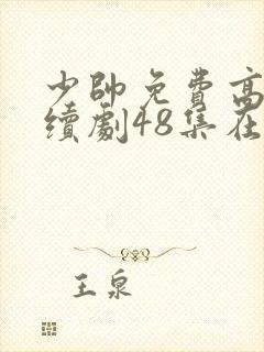 少帅免费高清连续剧48集在线观看