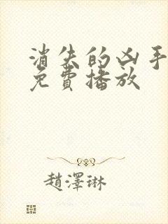 消失的凶手网剧免费播放封面