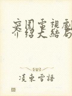 突围电视剧剧情介绍大结局