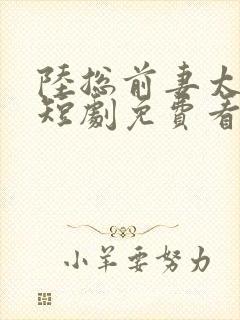 陆总前妻太傲娇短剧免费看