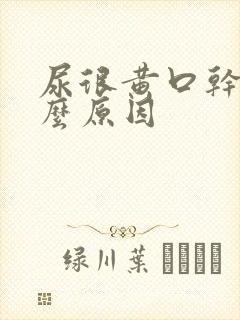 尿很黄口干是什么原因封面