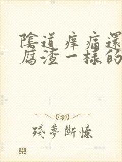 阴道痒痛还有豆腐渣一样的东西