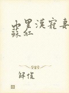 山里汉宠妻无度苏红