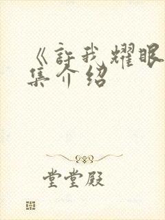 《许我耀眼》分集介绍封面