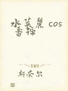 水菜丽 cos 番号