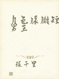 月色朦胧短剧双男主