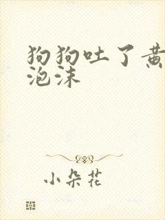 狗狗吐了黄水带泡沫