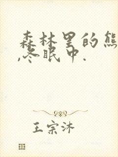 森林里的熊先生,冬眠中.