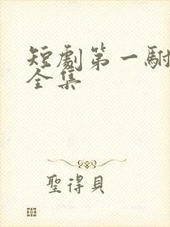 短剧第一驸马爷全集