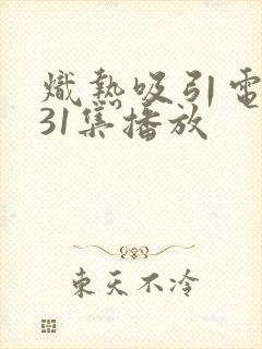 炽热吸引电视剧31集播放