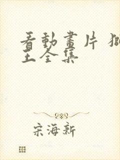 看动画片 狮子王全集封面