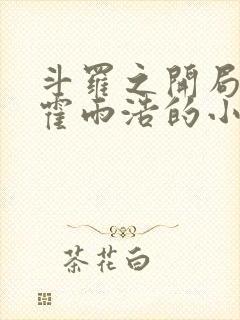 斗罗之开局公布霍雨浩的小说