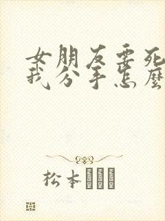 女朋友要死心跟我分手怎么挽回