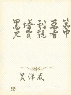 黑塔利亚第一季免费观看中文版