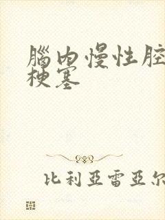 脑内慢性腔隙性梗塞封面