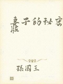 妻子的秘密韩国版