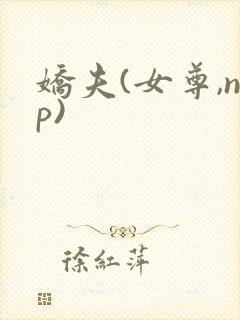 娇夫(女尊,np)