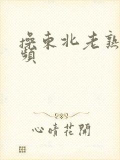 操东北老熟女视频封面