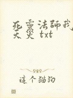 死灵法师我即是天灾 txt封面