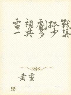 电视剧孤战迷城一共多少集