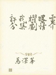 许我耀眼电视剧分集剧情介绍