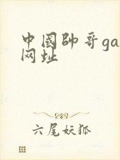 中国帅哥gay网址