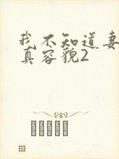 我不知道妻子的真容貌2