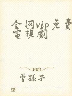 全网vip免费电视剧