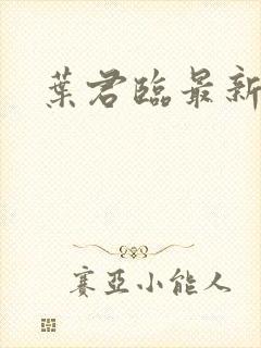 叶君临最新章节