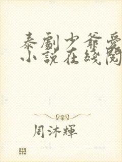 泰剧少爷爱上我小说在线阅读封面