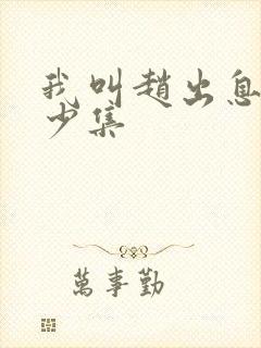 我叫赵出息共多少集