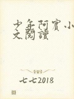 少年阿宾小说全文阅读