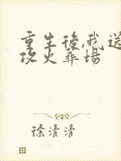 重生后,我送渣攻火葬场