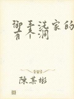 御手洗家的墙上有个洞