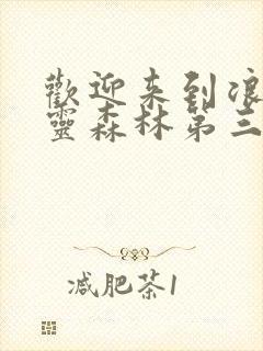 欢迎来到浪荡精灵森林第三集封面