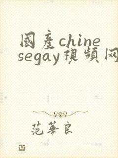 国产chinesegay视频网站封面