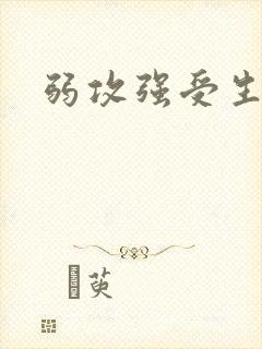 弱攻强受生子文