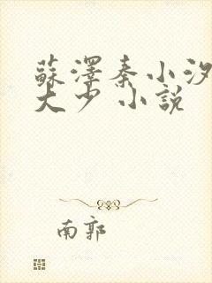 苏泽秦小汐豪门大少 小说