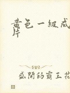 黄色一级成人大片